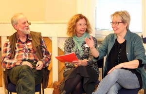 Årsmöte 2016 panel