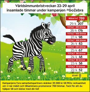 Resultat GoZebra 2018