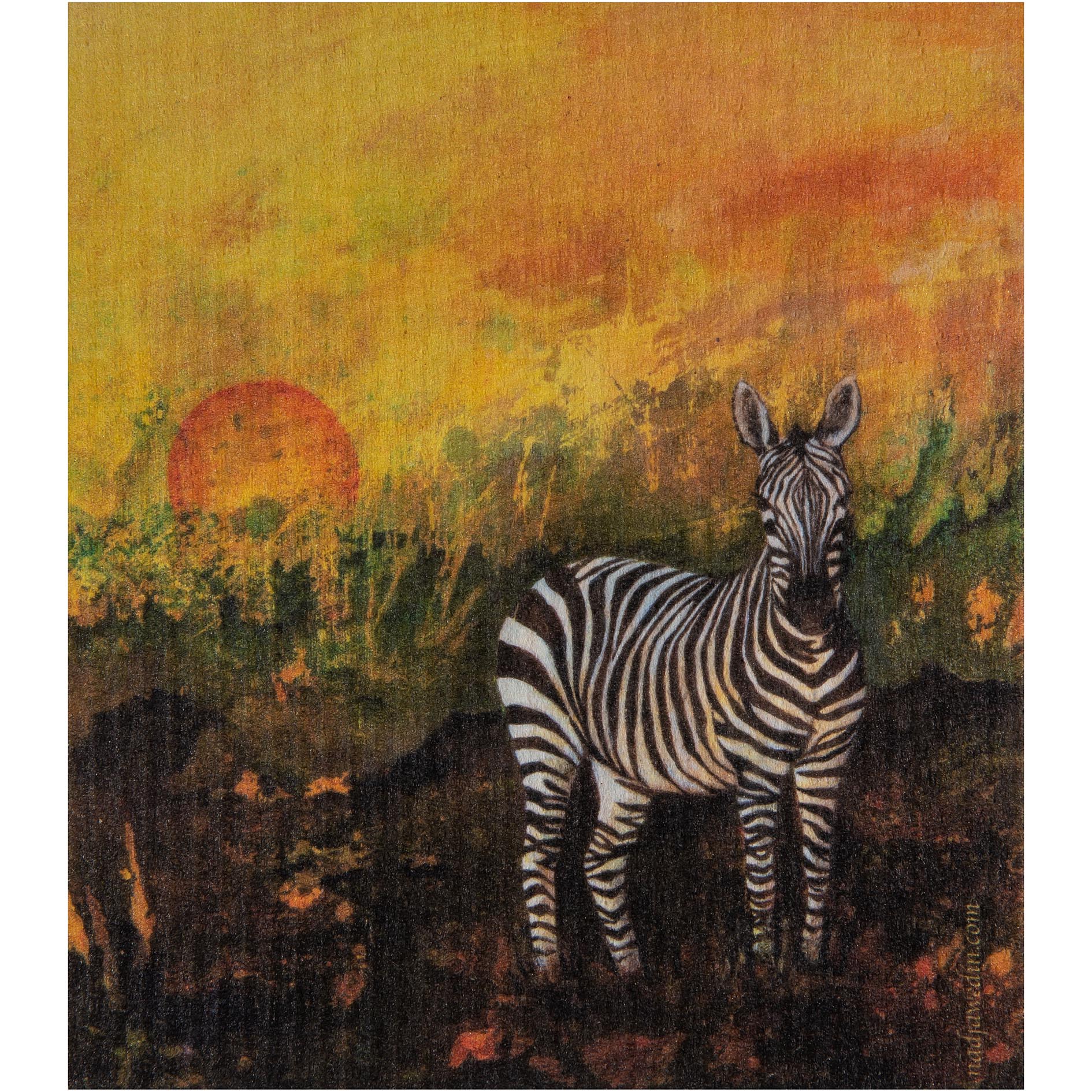 Disktrasa Zebra